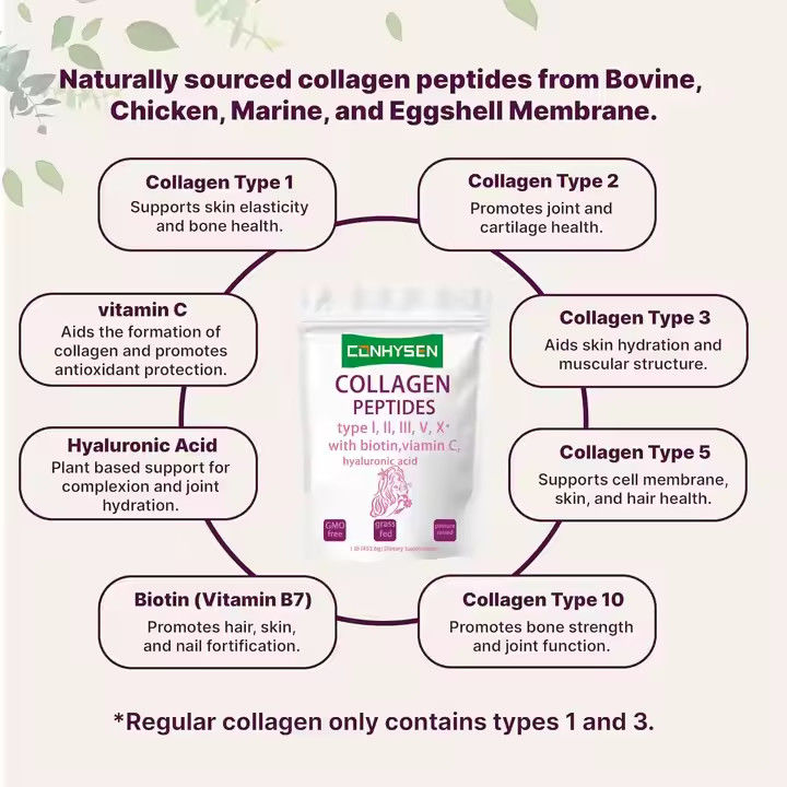 Suplementos OEM Péptidos de colágeno en polvo para la piel y el cabello Salud articular Apoya el envejecimiento