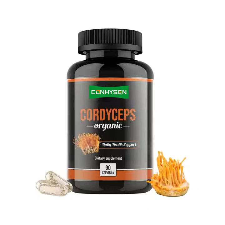 OEM ODM Cápsulas de Cordyceps orgánicas Promueve la función cerebral Cápsulas de suplemento de hierbas