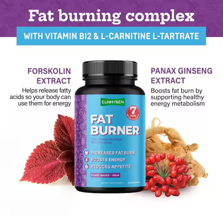 Capsulas quemadoras de grasa con vitamina B12 L-carnitina L-tartrato reduce el apetito