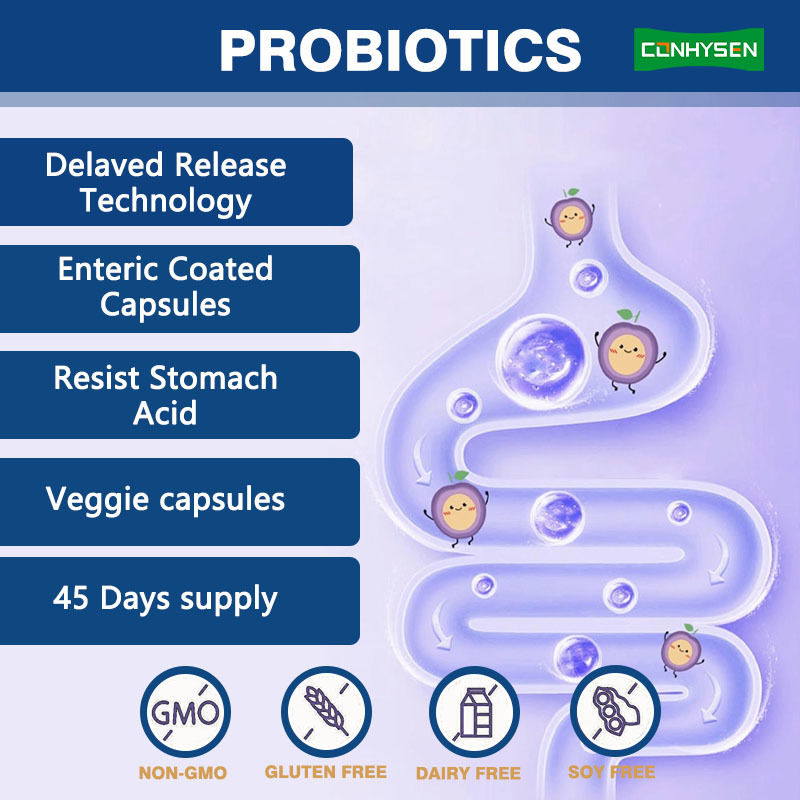 Suministro de fábrica 5 en 1 cápsulas prebióticas mejora la salud digestiva Probióticos Premium Complejo
