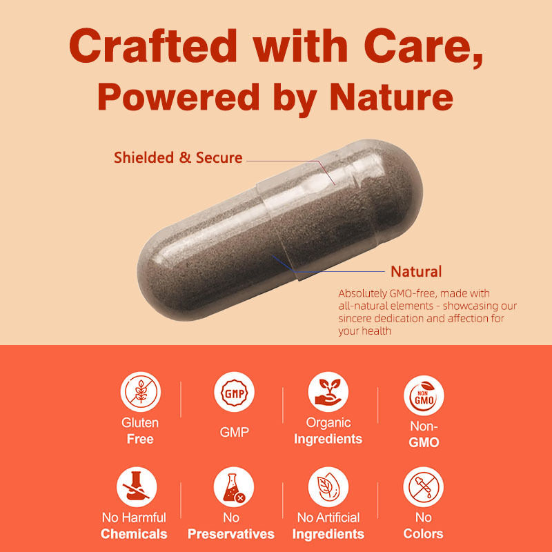 No OGM Saw Palmetto cápsulas 500 mg Complejo de apoyo Equilibrio hormonal Salud del cabello