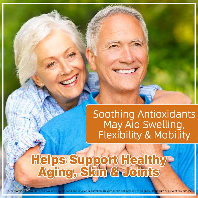 Las cápsulas orgánicas de musgo marino con la vejiga destrozada de bardana apoyan las articulaciones y la piel saludables