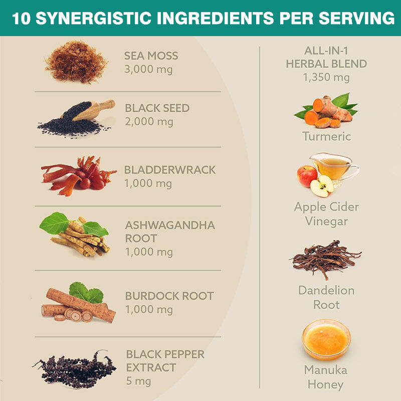 Cápsulas de Musgo Marino con Mezcla 10 en 1 para Apoyo Antioxidante Cápsulas de Aceite de Semilla Negra