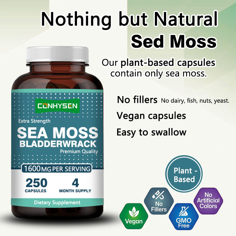 Cápsulas de Musgo Irlandés Orgánico para Promover la Salud Intestinal Productos para el Cuidado de la Salud