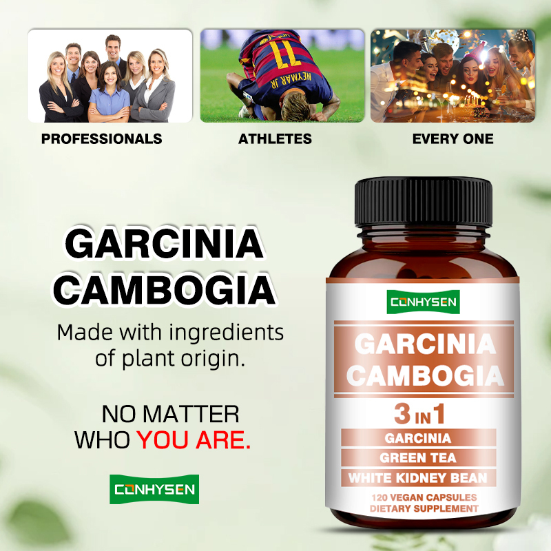 Productos de Cuidado de la Salud con Etiqueta Personalizada Promueven la Producción de Energía Cápsulas de Garcinia Cambogia