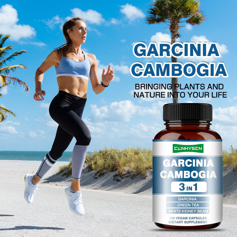 Premium Custom Garcinia Cambogia Capsules Suplemento de frijoles blancos para la producción de energía