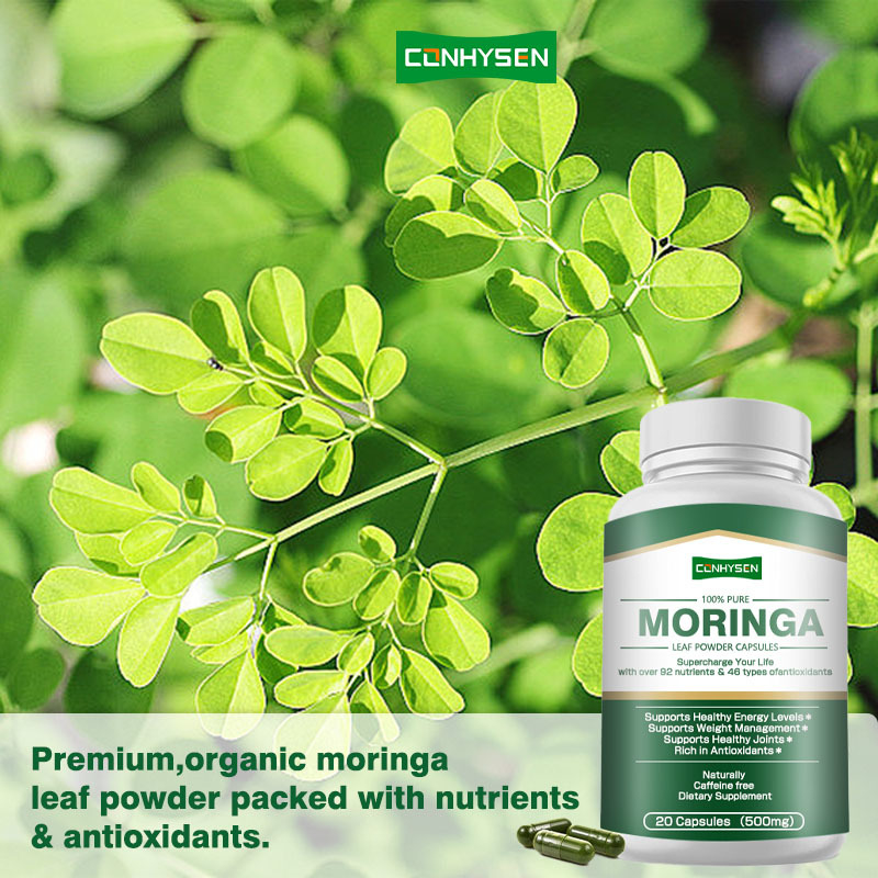 Las cápsulas de Moringa de etiqueta personalizada apoyan la próstata saludable con polvo de hojas de más de 92 nutrientes
