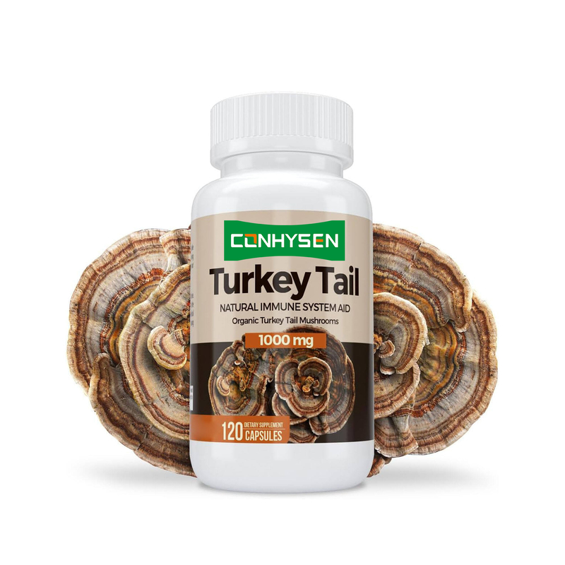Cápsulas Premium Personalizadas de Cola de Pavo Mejoran la Salud Cerebral y la Memoria, Ayuda Natural al Sistema Inmunológico