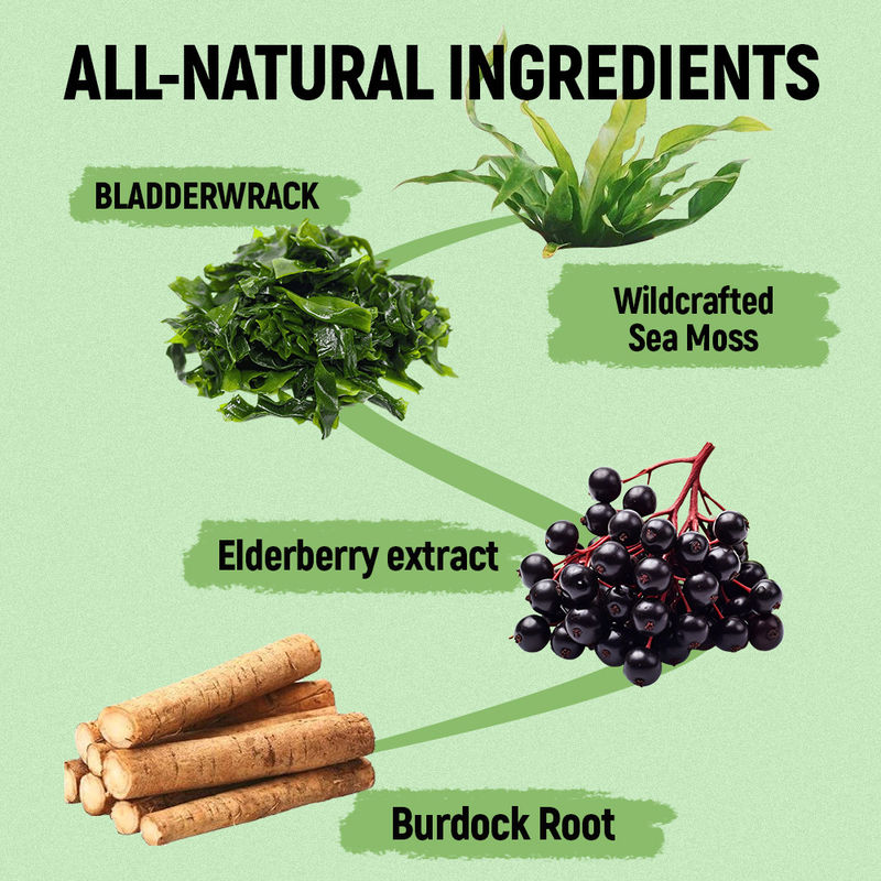 Gomitas de Musgo Marino con Vitamina C y Zinc Proveedor de Fábrica para Apoyo Antioxidante