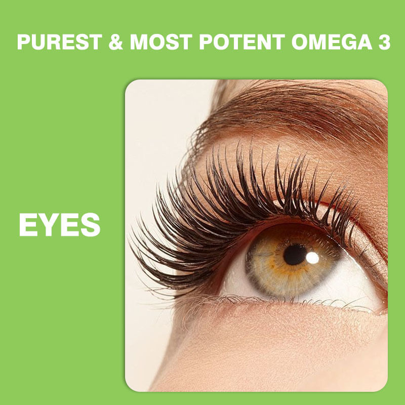 Gomitas Omega 3-6-9 más vendidas para niños y adultos Suplemento vitamínico para el cerebro y el corazón Suplementos de DHA para adolescentes