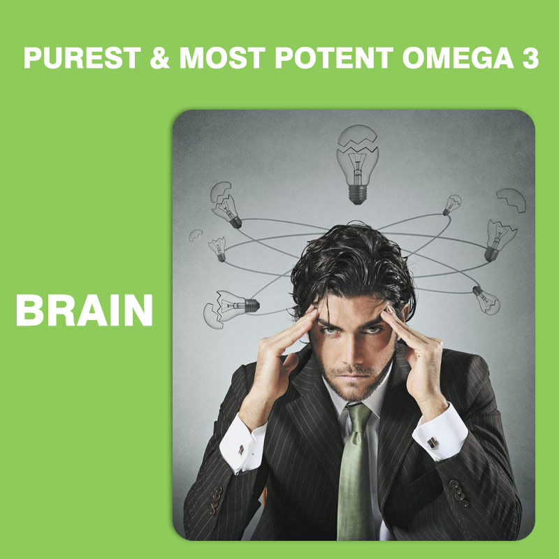 Gomitas Omega 3-6-9 más vendidas para niños y adultos Suplemento vitamínico para el cerebro y el corazón Suplementos de DHA para adolescentes