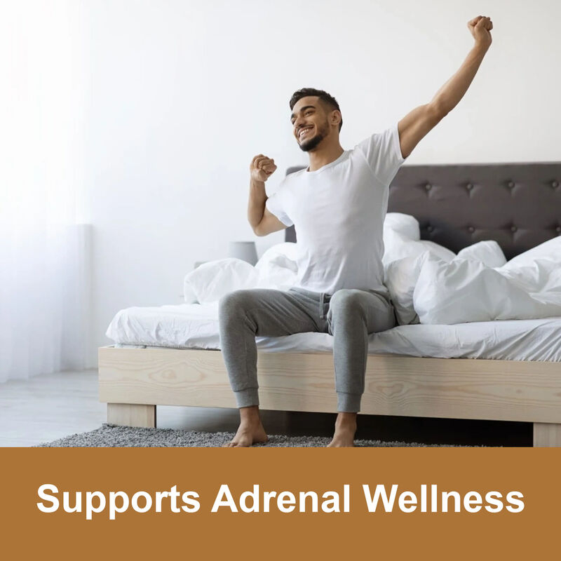 Etiqueta privada Maca Root Gummies de alta calidad para hombres Aumentar la energía suplemento 1800mg extracto de maca Gummies para mujeres y hombres