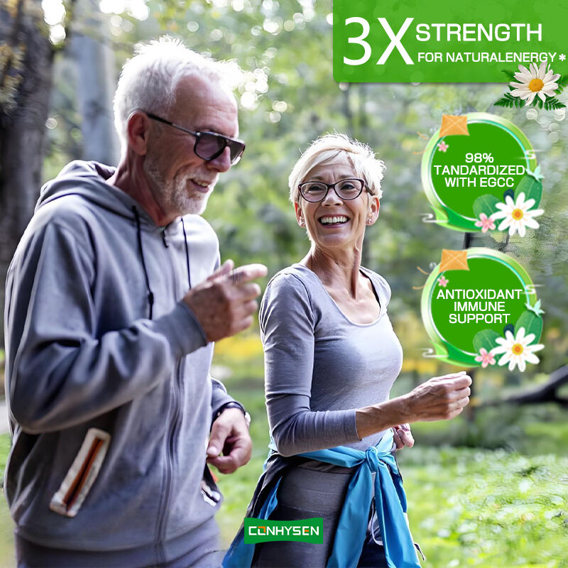 Cápsulas de Té Verde de Marca Propia con Rico Suplemento de EGCG para Apoyo Inmunológico Antioxidante, Pérdida de Peso, Adelgazamiento y Quema de Grasa