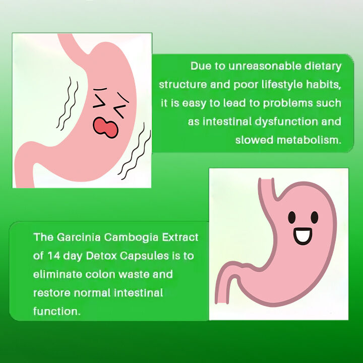 OEM ODM Cápsula adelgazante de 14 días supresor del apetito de acción rápida y píldoras quemadoras de grasa para adultos Fibra dietética