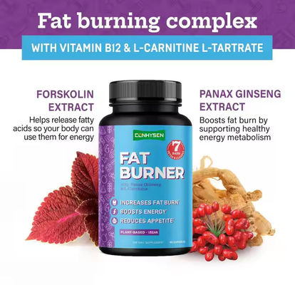 Capsulas quemadoras de grasa con vitamina B12 L-carnitina L-tartrato reduce el apetito